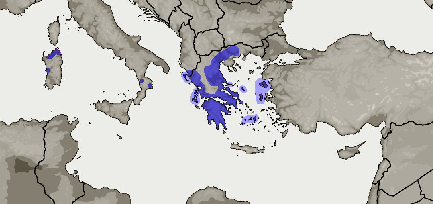 ctmarginata.png