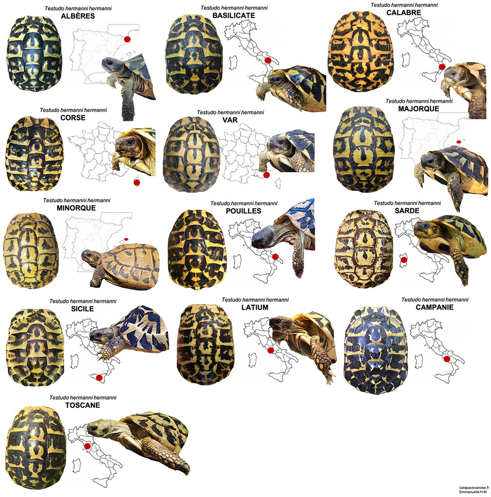 localisation-tableau-carte-hh.jpg